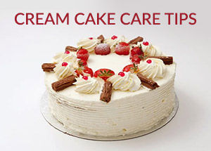 Cream Cake Care